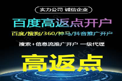 百度推广秘籍：案例与技巧